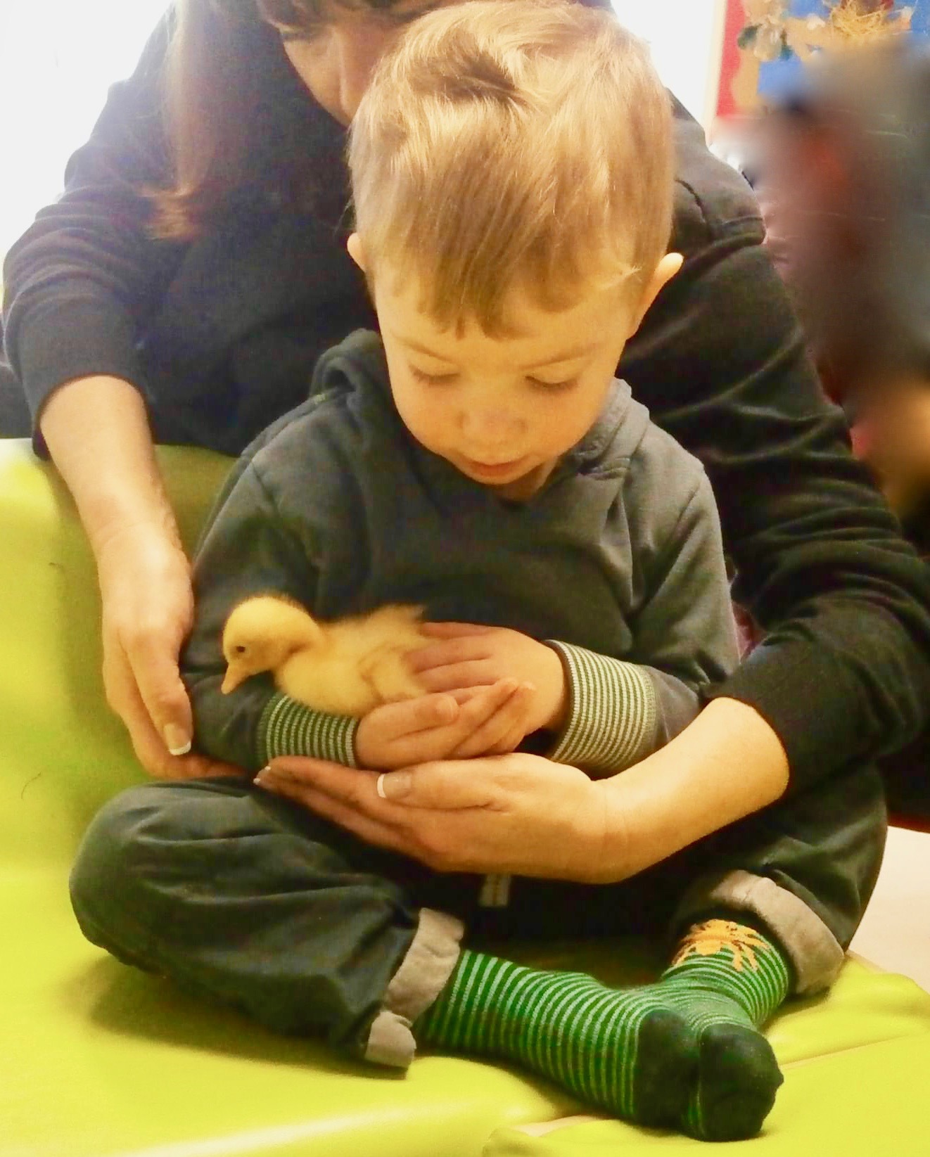 Nurture 1